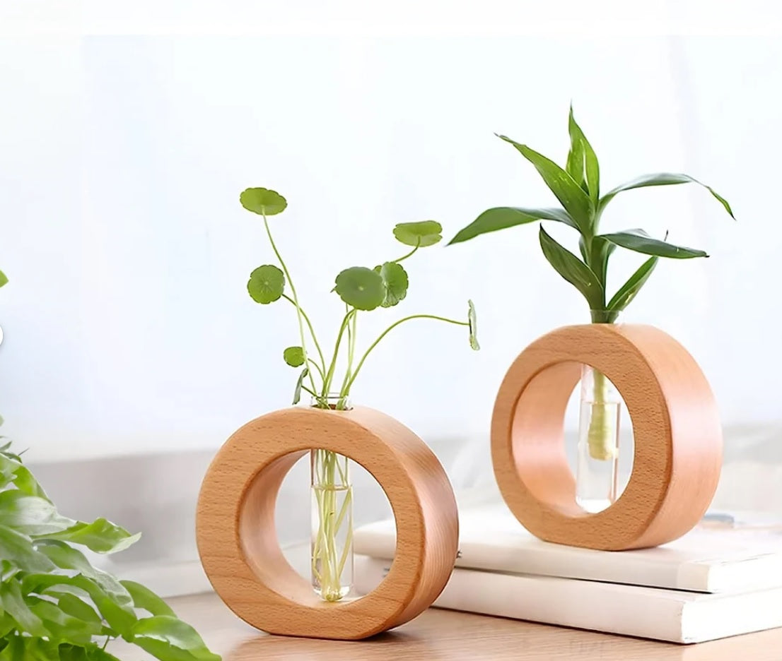 Hydroponic Glass And Beech Wood Vase